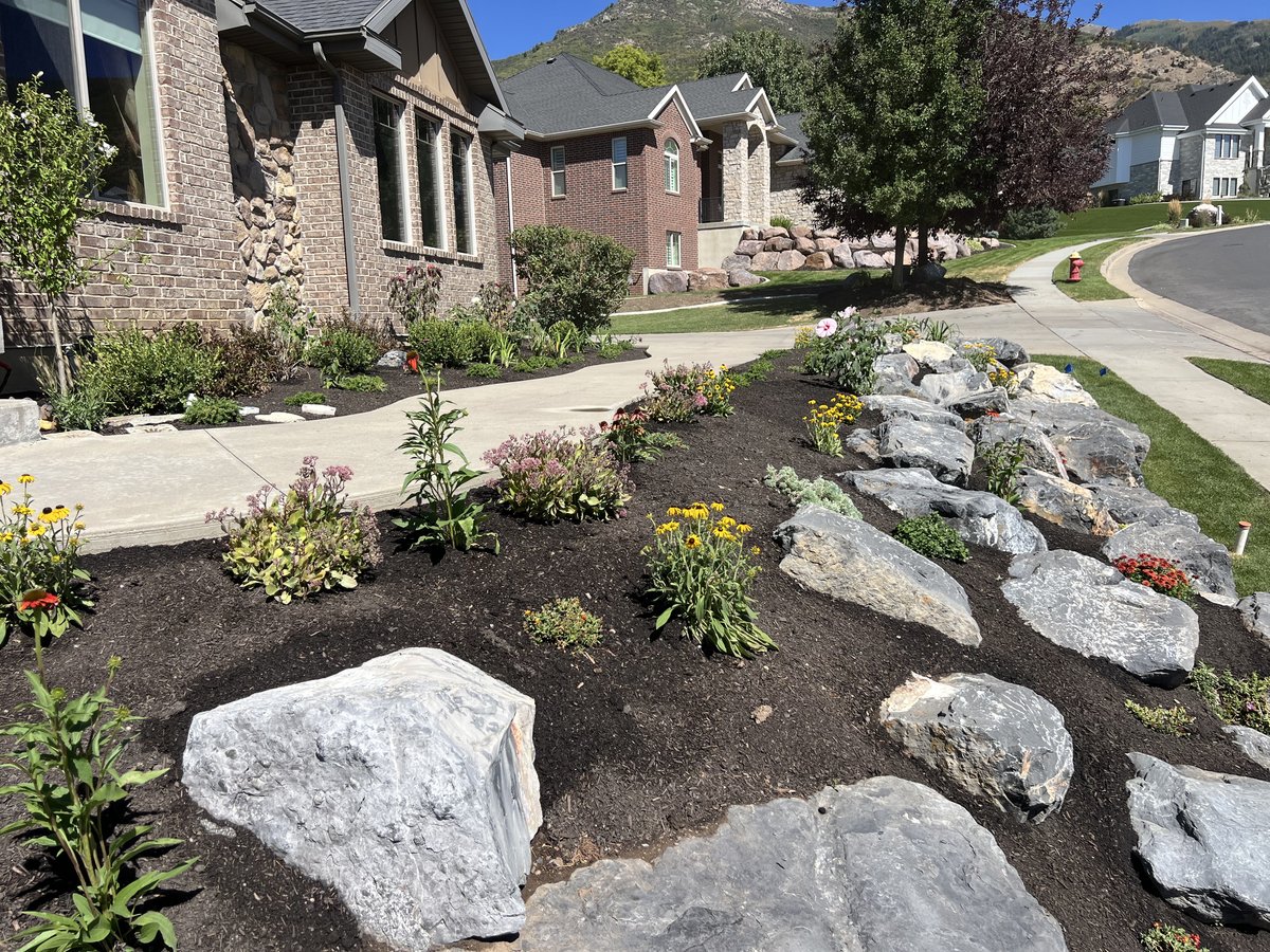 Boulder and perennial front yard landscaping