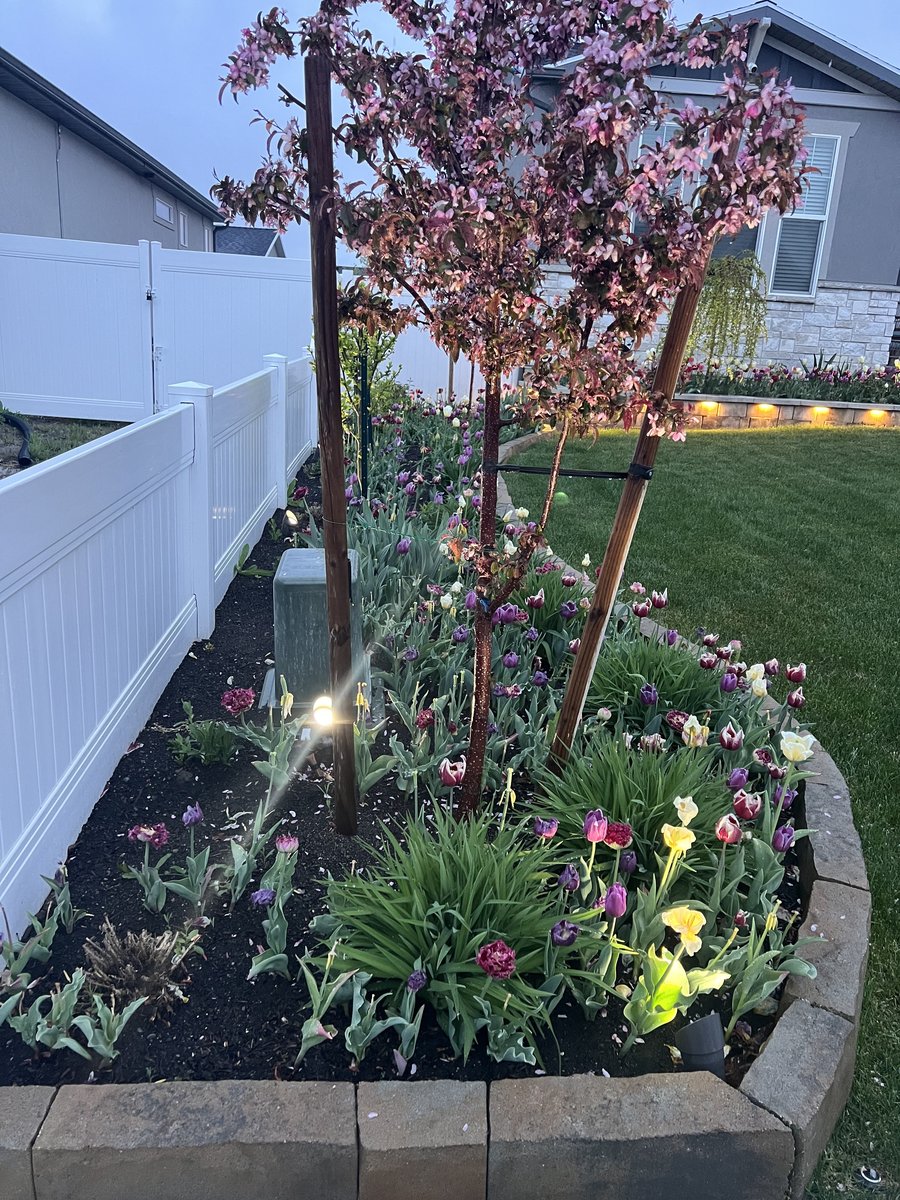 Landscaping project by Kings Landscaping in Utah