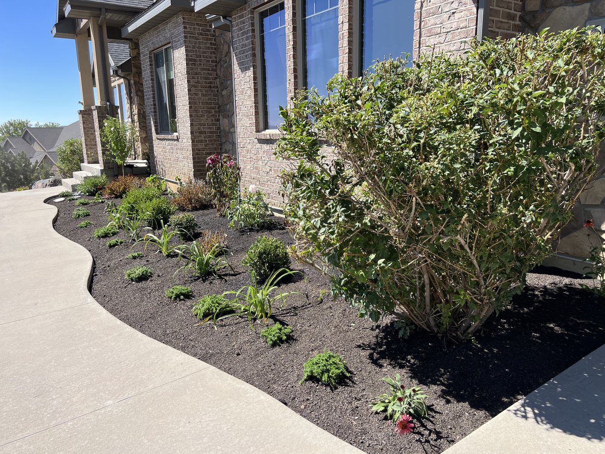 Landscaping project by Kings Landscaping in Utah