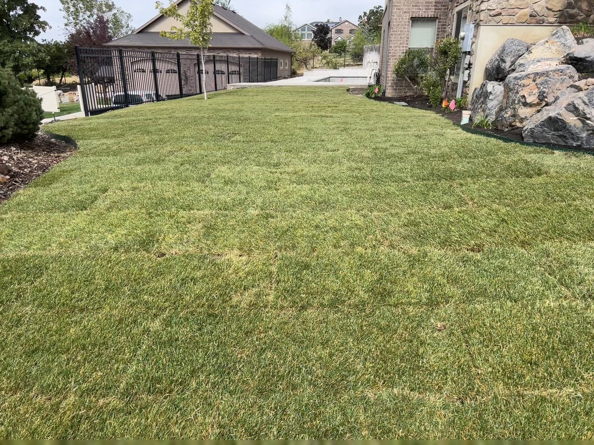 Landscaping project by Kings Landscaping in Utah