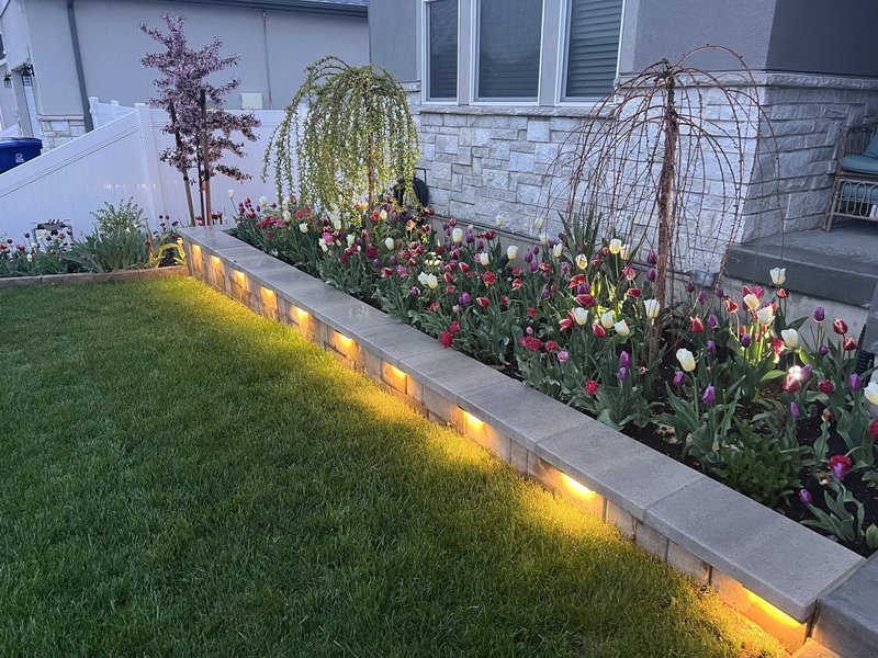 Tulip garden bed with landscape lighting